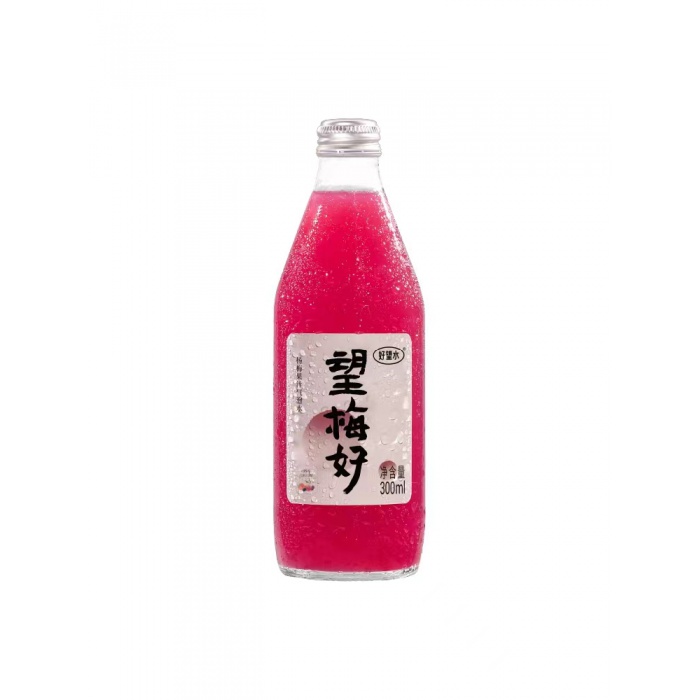 好望水望梅好杨梅味气泡饮料300ml*24瓶/件