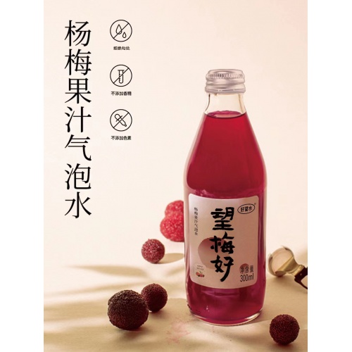 好望水望梅好杨梅味气泡饮料300ml*24瓶/件