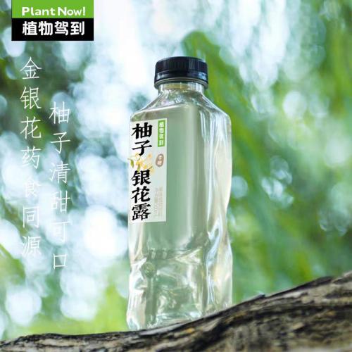 植物驾到 柚子银花露果味植物饮料500m...
