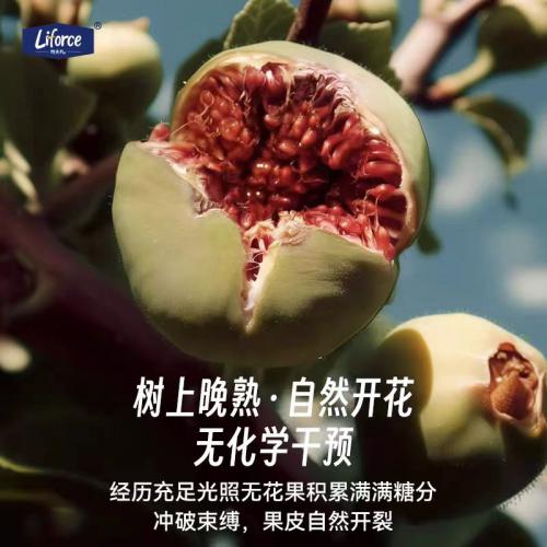 列夫Liforcel无花果干100g*20袋/件