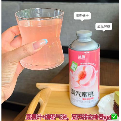远淘满汽蜜桃（蜜桃味果汁型气泡水）750ml*6瓶/件