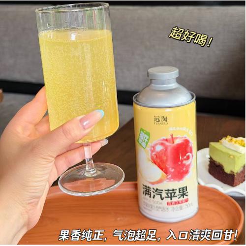 远淘满汽苹果（苹果味果汁型气泡水）750ml*6瓶/件